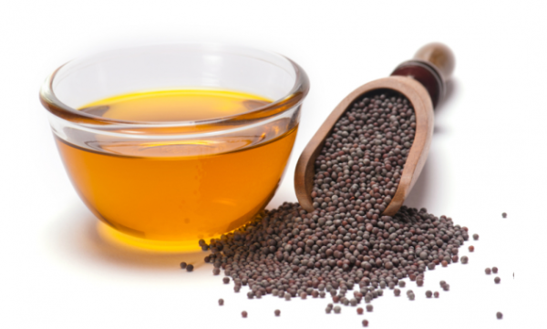 VIRGIN GROUNDNUT OIL - COLD PRESSED - Image 2